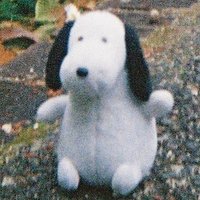 むらさき (@stom_78) 's Twitter Profile Photo