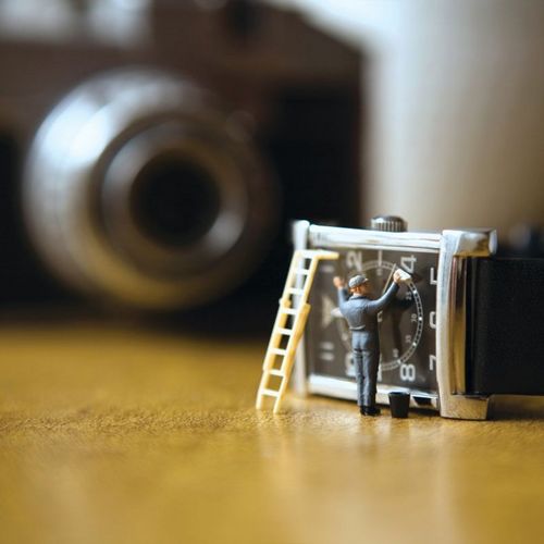 fiesta_us's profile picture. 