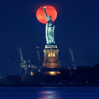 wee_jokeydel's profile picture. 