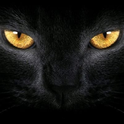 😃👍🏾 First Main Account Patriot 💖 Follow me i Follow back 💯🫵🏾 Only Original Accounts 📵NO Unrequested DM i BLOCK YOU ‼️