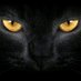 ๐ณ๐ฑ๐ฑ๐ฐQuiero14010 โ๏ธ๐๐ป๐ต๐น๐บ๐ธ๐ (@quiero14010) Twitter profile photo ๐ณ๐ฑ๐ฑ๐ฐQuiero14010 โ๏ธ๐๐ป๐ต๐น๐บ๐ธ๐ (@quiero14010) Twitter profile photo