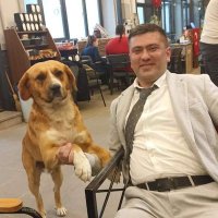 KEMAL TEKCAN GÜNEŞ (@kemaltekca37096) 's Twitter Profile