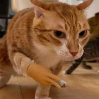 GREATER_CSM (@csm_rl) 's Twitter Profile