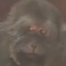 C9090D's profile picture. everything is Blur