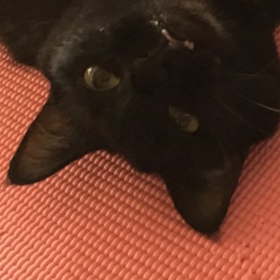 urota99's profile picture. 機械屋さん