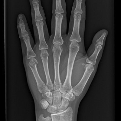 goybea's profile picture. directionally challenged