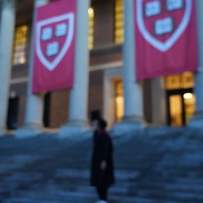 日本の児童養護施設出身者初の@Harvard 院卒←自称 。児相→施設→偏差値30台→貧困生活→結婚・離婚→国外逃亡→アメリカで覚醒→米国で大学と院修了。シリコンバレーでスタートアップ設立、他数社経営。ラスベガス、メキシコ、ペルー拠点で気まま生活。複数カ国永住権所持者。トリリンガル(日、英、西)。海外生活10年以上。