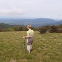 Jerri Smith - @JSmith568 - Twitter