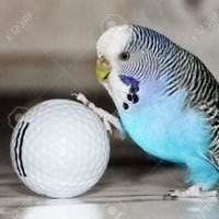 Juan (@juanburra_) 's Twitter Profile Photo