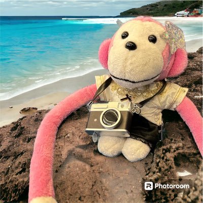 tomato_1991's profile picture. まらしぃちゃん＆まらしぃさん推し🎹の静岡県住みのキテルグマ大好きな30代。ほぼ日常垢です。なんでもあり、てんかんand乳がん持ち写真愛好家、てんかん持ち音ゲーマー。鍵垢 @tomato__313 無言フォロー失礼します☺️📸/音ゲー&ポケモン中心に🎮……ゲーム垢 @tomasan_game