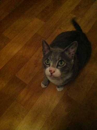 ses2580's profile picture. 세컨/요리사/약간에 일탈을 위해 만든계정/매너남/모두 행복하세요^^