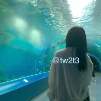 みむ (@mimu1826794) 's Twitter Profile