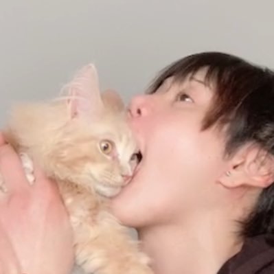 猫にゃごカメラマン📸🐈関西さんのプロフィール画像