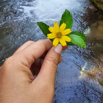 gevilaayu's profile picture. gegevvvvv :*