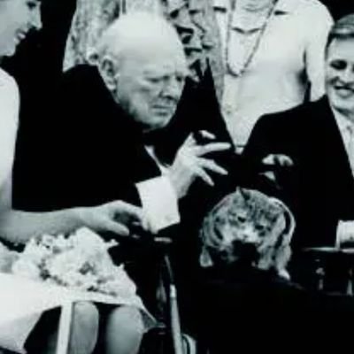 edgantes's profile picture. 