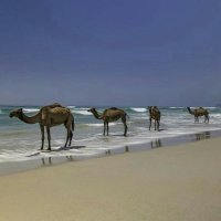 Wasaif (@i0was) 's Twitter Profile