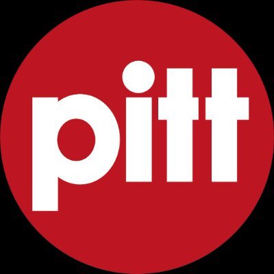 Pittprofs's profile picture. Pitt IT Professionals | IT Werving & Selectie | IT detachering | Managed Services