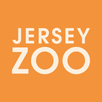 Jersey Zoo (@jerseyzoo) Twitter profile photo