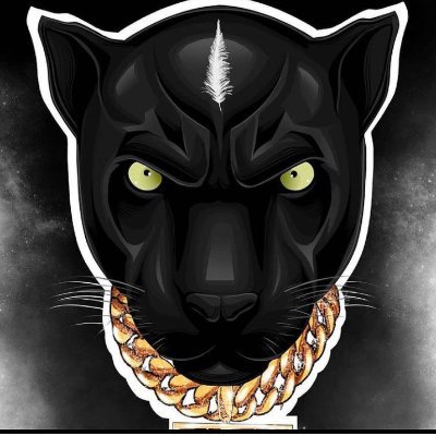 ChadsBabygurl's profile picture. strategies with advanced analytical functionalities.