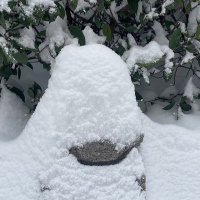 Claudeanxy's profile picture. 二次元｜ 加密｜喜|喜