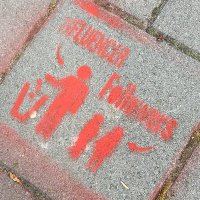 LitterApp.NET (@litterapp_net) 's Twitter Profile