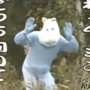 学のない豚さんのプロフィール画像