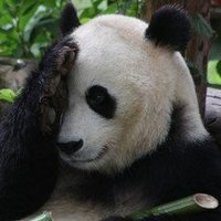 zen zen non (@zenzennon131757) 's Twitter Profile