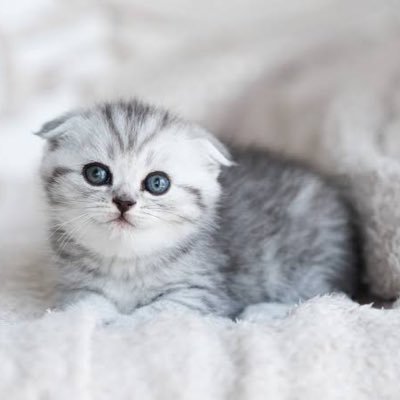 Nnmn017's profile picture. 19y