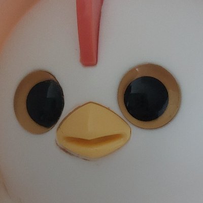 ray rooさんのプロフィール画像