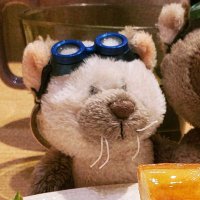 エンリョノ・カタマリ (@enryo_neko) 's Twitter Profile