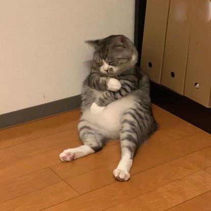 hubbalmm's profile picture. 