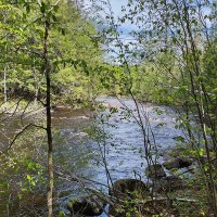 OffToTheWoods (@offtothewoods78) 's Twitter Profile