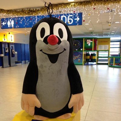 shimokoo's profile picture. 