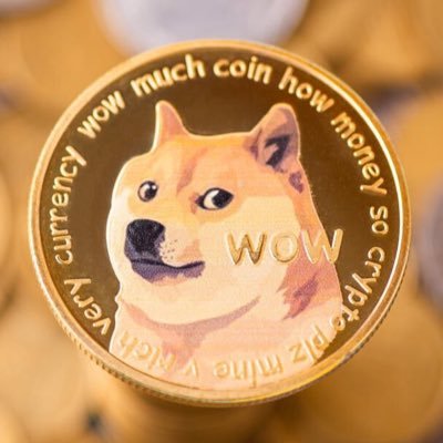 suhaib_imax's profile picture. 