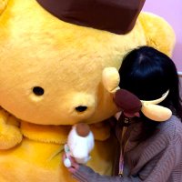ぽむぽむ ぷちとも Sanrio characters ポムポムプリンのくるま | サンリオ