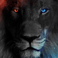 Bullseye 🎯 (@vick_mdb) 's Twitter Profile Photo