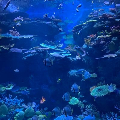sugainmavien_'s profile picture. ความเป็นกุลสตรี มีน้อยกว่า เงินในบัญชี♡