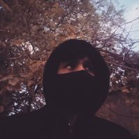 Nima (@nim_vagabi) 's Twitter Profile