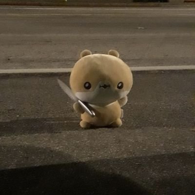 호이さんのプロフィール画像