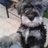 memo7929's profile image
