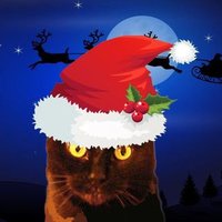 Santa's Cat(@SantasCat) 's Twitter Profileg