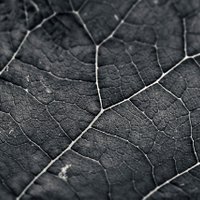 Suriya (@suriya377231) 's Twitter Profile