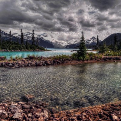 forestglossy's profile picture. 