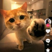 ac897 (@i58300h) 's Twitter Profile