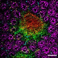 European Society for Spatial Biology (@spatialbio) 's Twitter Profile