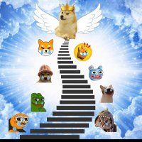 King of memes (@kom_onsol) 's Twitter Profile Photo