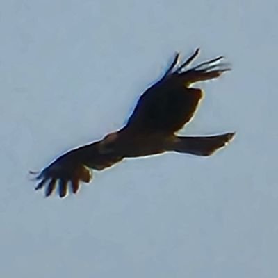 maeng_84's profile picture. 日本語上手になりたい韓国人です！
よろしくお願いします！

한국어/ENG/日本語(勉強中)