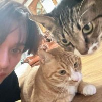 volderba (@volaecha) 's Twitter Profile