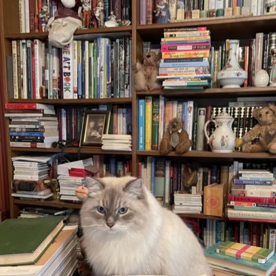 osa8199's profile picture. 