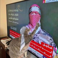 Nada Hamed (@_nada_hamed_) 's Twitter Profile